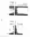 Fig. 19 - Methods for synthesizing sugar chains using β1,3-N-acetylglucosaminyltransferase