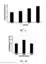 Fig. 12 - Compositions and methods for dehydrated storage of on-board reagents in microfluidic devices