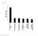 Fig. 11 - Preparation and isolation of 5′ capped MRNA