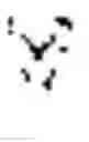 Fig. 02 - Production of nucleic acid