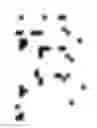 Fig. 03 - Production of nucleic acid