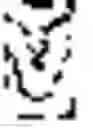 Fig. 16 - Production of nucleic acid