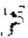 Fig. 27 - Production of nucleic acid