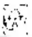 Fig. 31 - Production of nucleic acid