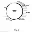Fig. 04 - Polypeptides having cellobiohydrolase activity and polynucleotides encoding same