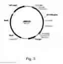 Fig. 05 - Polypeptides having cellobiohydrolase activity and polynucleotides encoding same