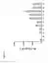 Fig. 05 - METHOD FOR PRODUCING LACTIC ACID BACTERIA HAVING ENHANCED IMMUNOREGULATING ACTIVITIES
