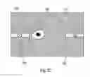 Fig. 12 - Apparatus and Methods for Using Biological Material to Discriminate an Agent