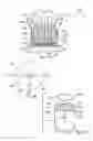 Fig. 17 - Apparatus and Methods for Using Biological Material to Discriminate an Agent