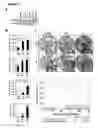 Fig. 05 - Human androgen receptor alternative splice variants