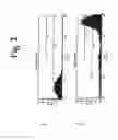 Fig. 03 - FUNCTIONAL DISRUPTION OF AN IMMUNOGLOBULIN GENE IN AN AVIAN EMBRYONIC STEM CELL