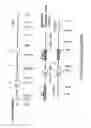 Fig. 07 - FUNCTIONAL DISRUPTION OF AN IMMUNOGLOBULIN GENE IN AN AVIAN EMBRYONIC STEM CELL