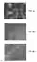 Fig. 09 - CELL CARRIER AND METHODS OF MAKING