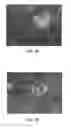 Fig. 08 - Cell carrier, methods of making and use