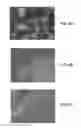 Fig. 09 - Cell carrier, methods of making and use