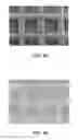 Fig. 06 - CELL CARRIER, ASSOCIATED METHODS FOR MAKING CELL CARRIER AND CULTURING CELLS USING THE SAME