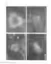 Fig. 02 - Method for efficient production of induced pluripotent stem cells utilizing cells derived from oral mucosa
