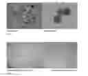 Fig. 06 - METHOD FOR CELL EXPANSION