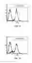 Fig. 07 - Cell culture medium