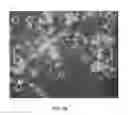 Fig. 16 - Cell culture medium