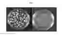 Fig. 02 - Methods for improving competency of plant cells