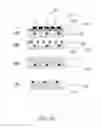 Fig. 03 - Methods and systems for using actuated surface-attached posts for assessing biofluid rheology