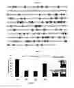 Fig. 05 - Method for determining protein-nucleic acid interaction