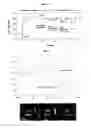 Fig. 10 - Method for determining protein-nucleic acid interaction