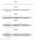 Fig. 07 - Organic light emitting display device and fabricating method thereof