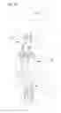 Fig. 05 - Socket for wedge bulb