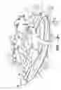 Fig. 07 - Prone position watercraft