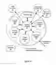 Fig. 05 - Method and system for extending services to cellular devices