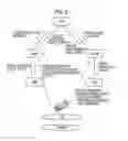Fig. 07 - Mobile communication method, mobile communication system, subscriber management server device, and mobile switching center