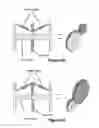 Fig. 06 -  INTEGRATED ELECTRIC POWERTRAIN ASSEMBLY DEVICE AND METHOD