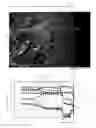 Fig. 01 - High performance glass ceramics and method for producing high-performance glass ceramics