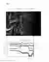 Fig. 04 - High performance glass ceramics and method for producing high-performance glass ceramics