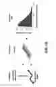 Fig. 02 - Direct capture, amplification and sequencing of target DNA using immobilized primers