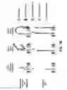 Fig. 03 - Direct capture, amplification and sequencing of target DNA using immobilized primers