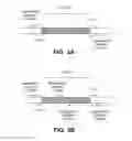 Fig. 06 - Direct capture, amplification and sequencing of target DNA using immobilized primers