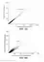 Fig. 10 - Direct capture, amplification and sequencing of target DNA using immobilized primers