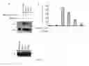 Fig. 07 - Two-hybrid based screen to identify disruptive residues at multiple protein interfaces