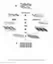 Fig. 06 - METHYLATION BIOMARKERS AND METHODS OF USE