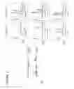 Fig. 28 - Stem accelerated isothermal nucleic acid amplification technology