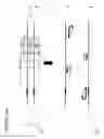 Fig. 35 - Stem accelerated isothermal nucleic acid amplification technology