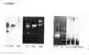 Fig. 08 - Labelling strategies for the sensitive detection of analytes