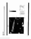 Fig. 28 - Labelling strategies for the sensitive detection of analytes