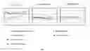 Fig. 20 - Screening methods for detection of susceptibility to leukemia and lymphomas