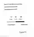 Fig. 41 - Oligonucleotides useful for detecting and analyzing nucleic acids of interest