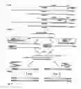 Fig. 06 - System and methods to quantify and amplify both signaling and probes for cDNA chips and gene expression microarrays