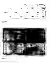Fig. 09 - System and methods to quantify and amplify both signaling and probes for cDNA chips and gene expression microarrays